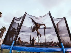 Trampoliner hitter i haverne