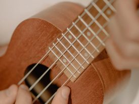 Find den rette elektriske ukulele
